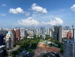 Skyline @ Orchard Boulevard (D9), Apartment #596847001